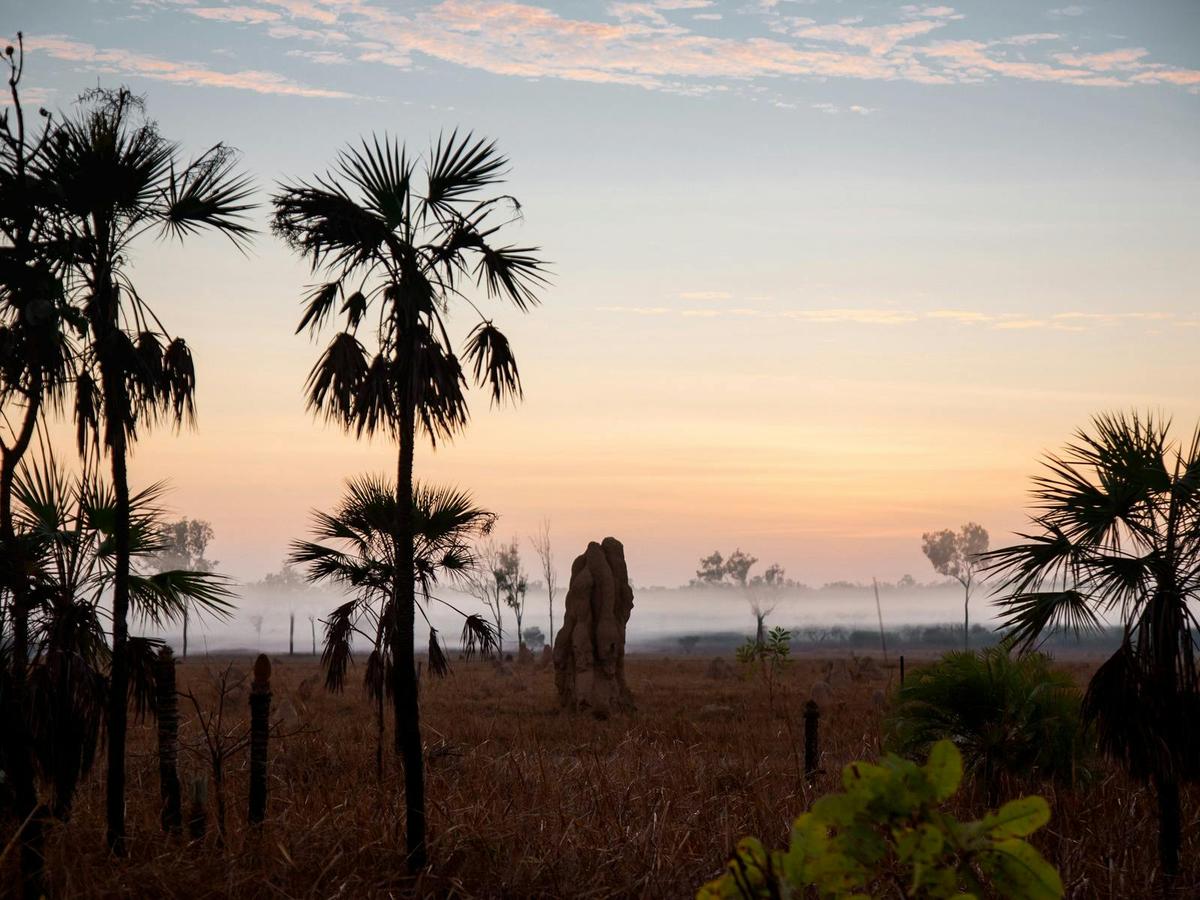 Wild & Free - Tropical Summer adventure in Litchfield & Kakadu in the Wet Season