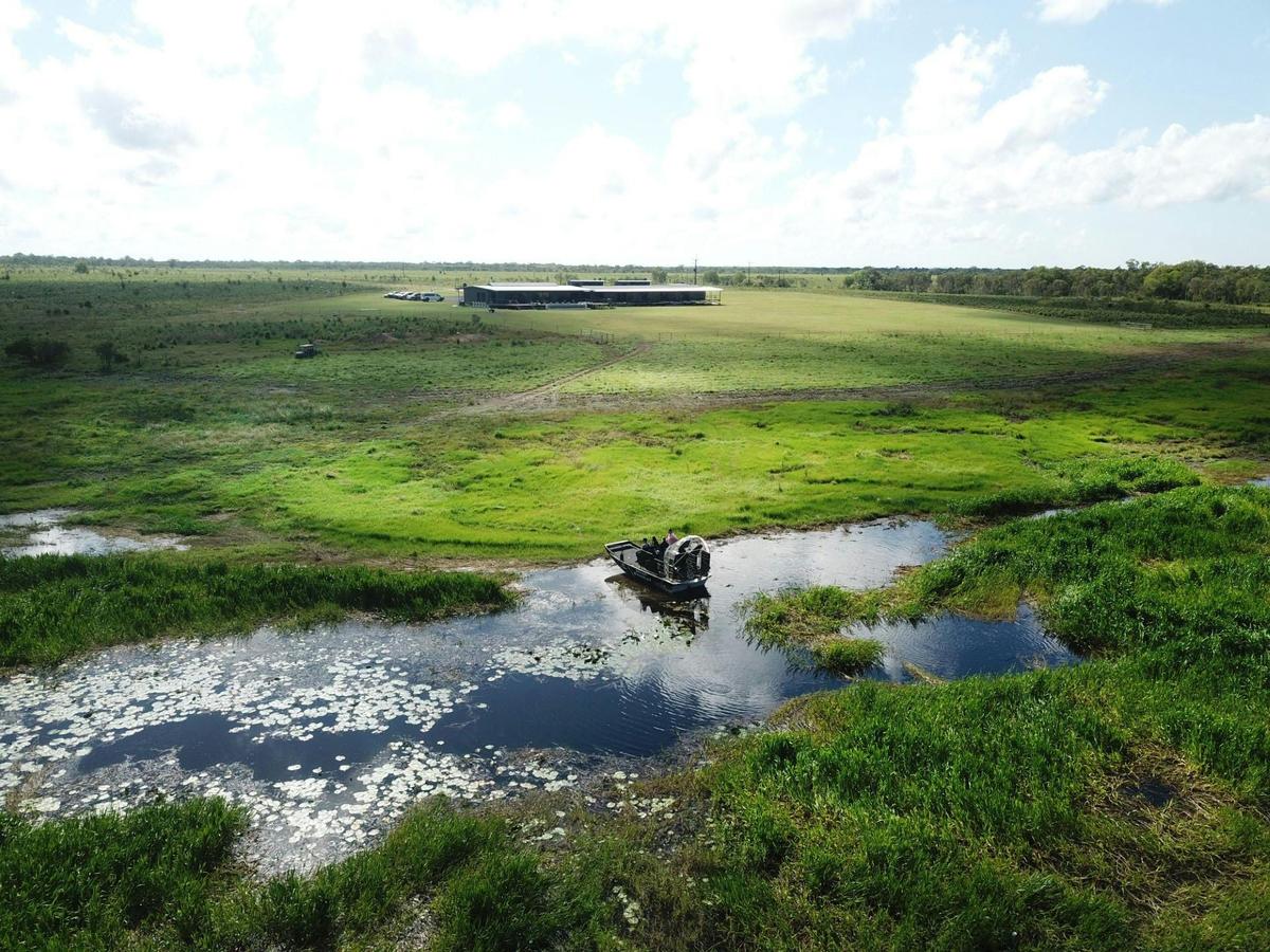 Birds, Buggies, Brunch & Airboat
