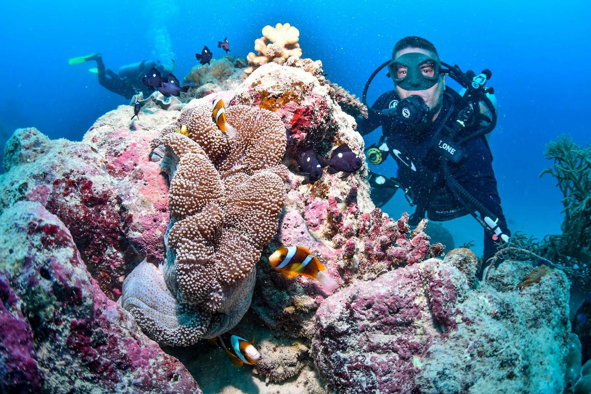 Finding Nemo!