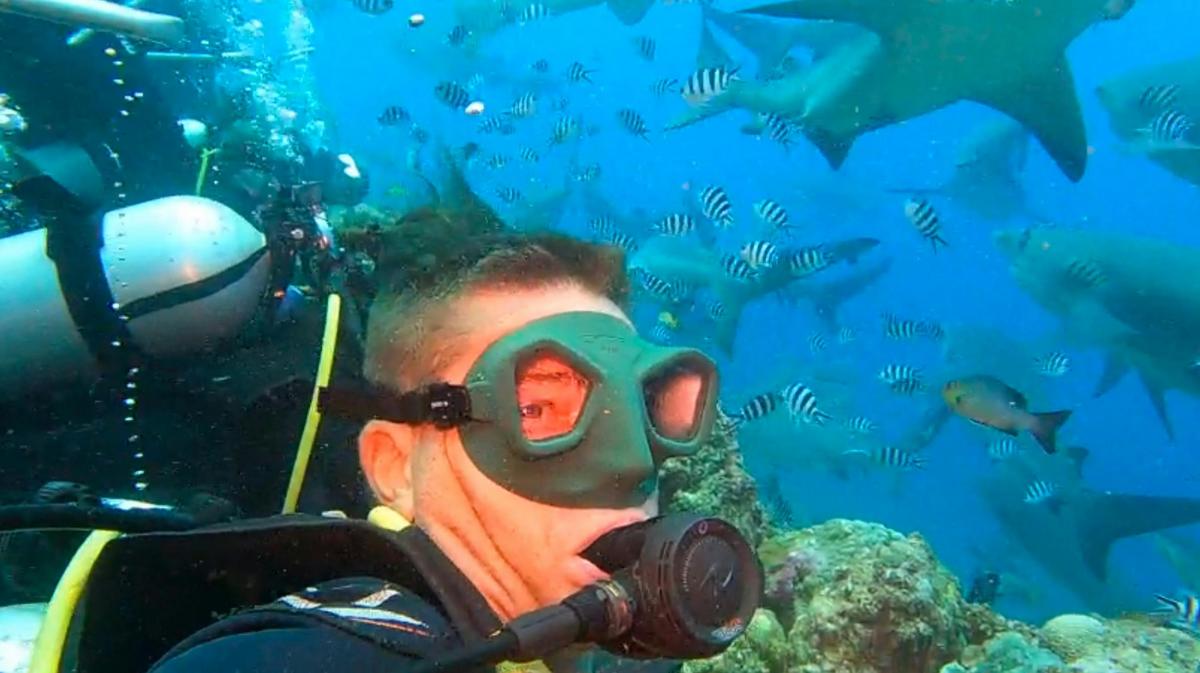Shark Diving FIJI!
