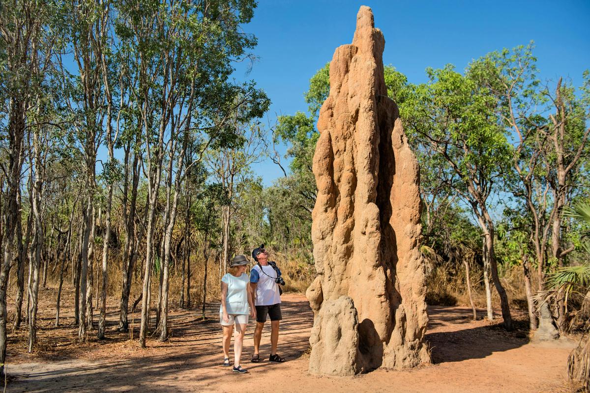 Towering termites