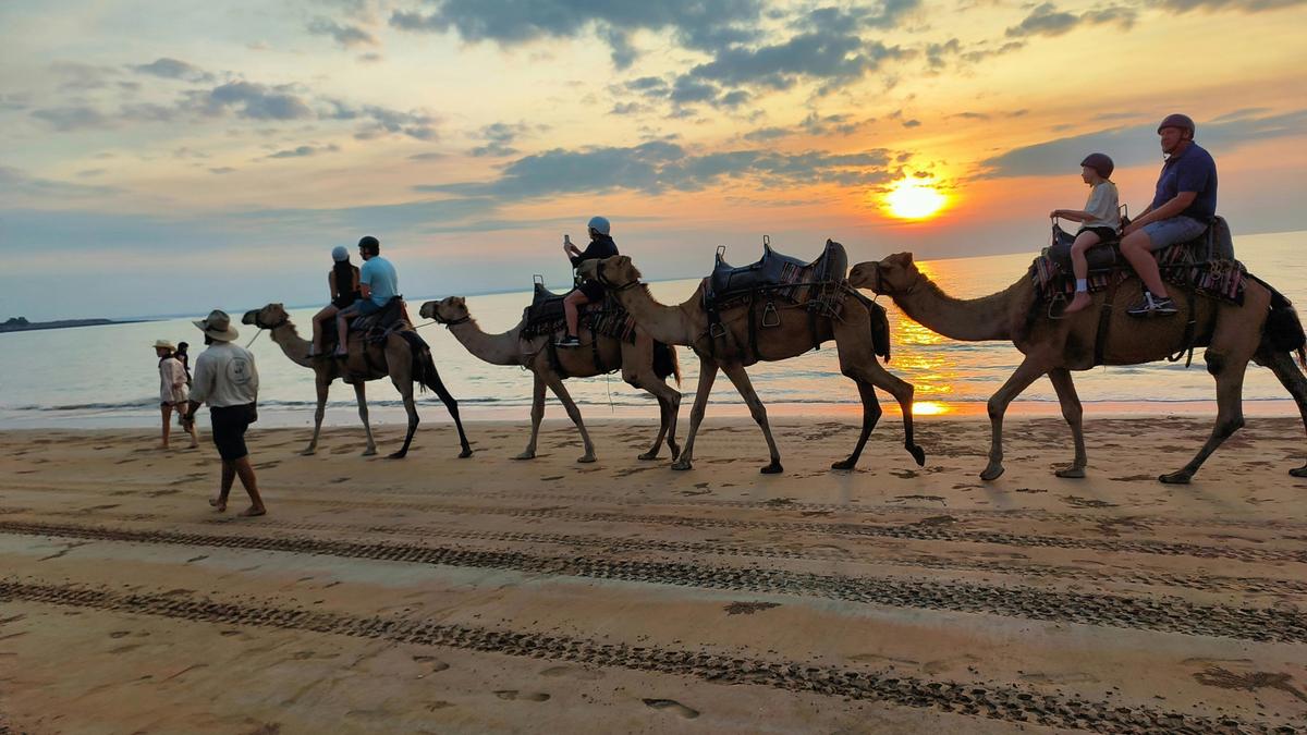 camel rides mindil beach