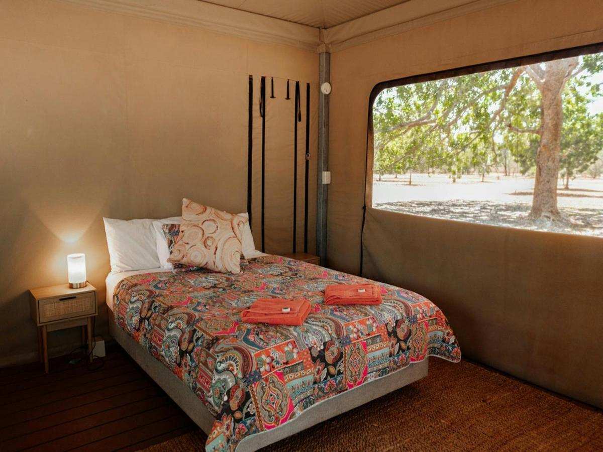 Economy Safari Tent (No Bathroom)