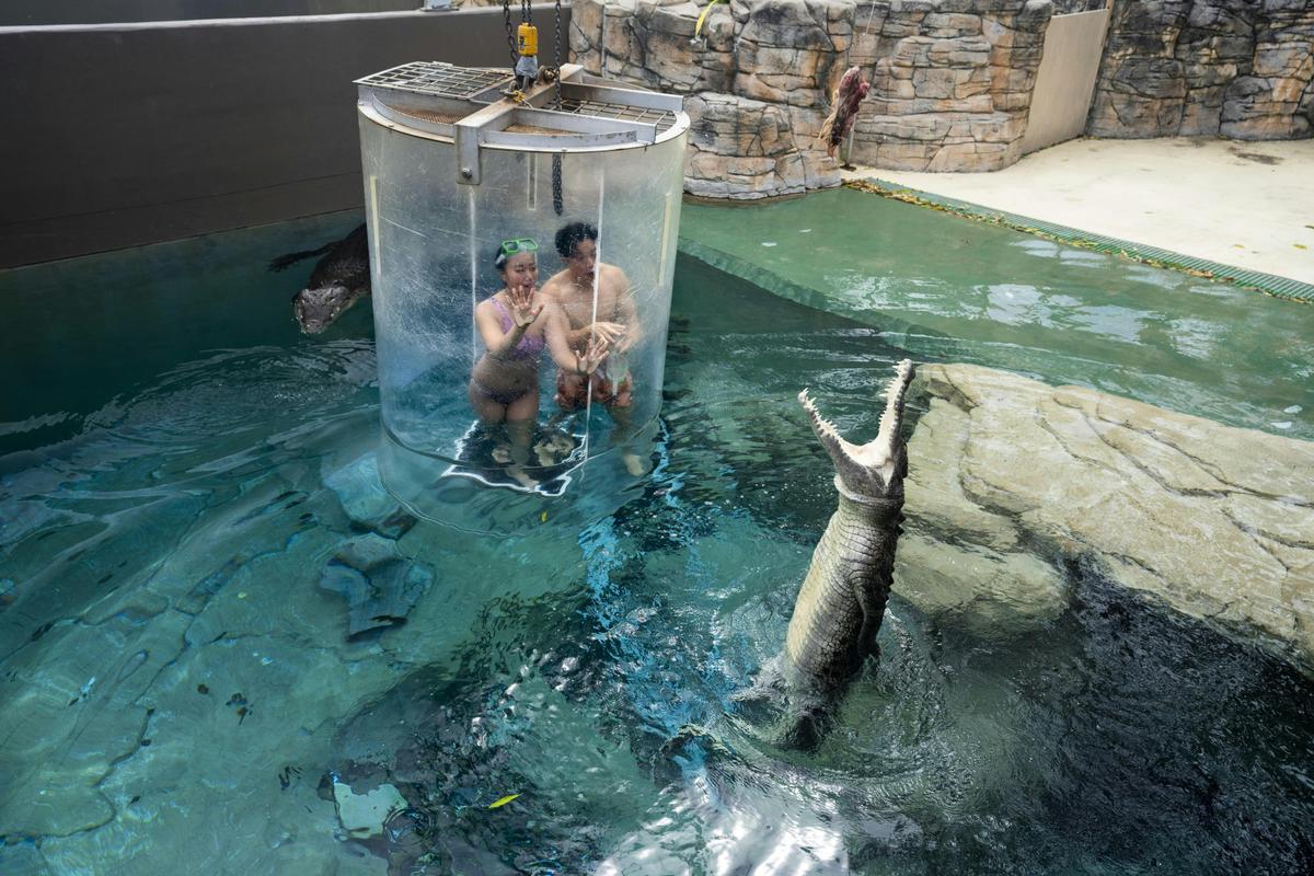 People in the Cage of Death experience at Crocosaurus Cove