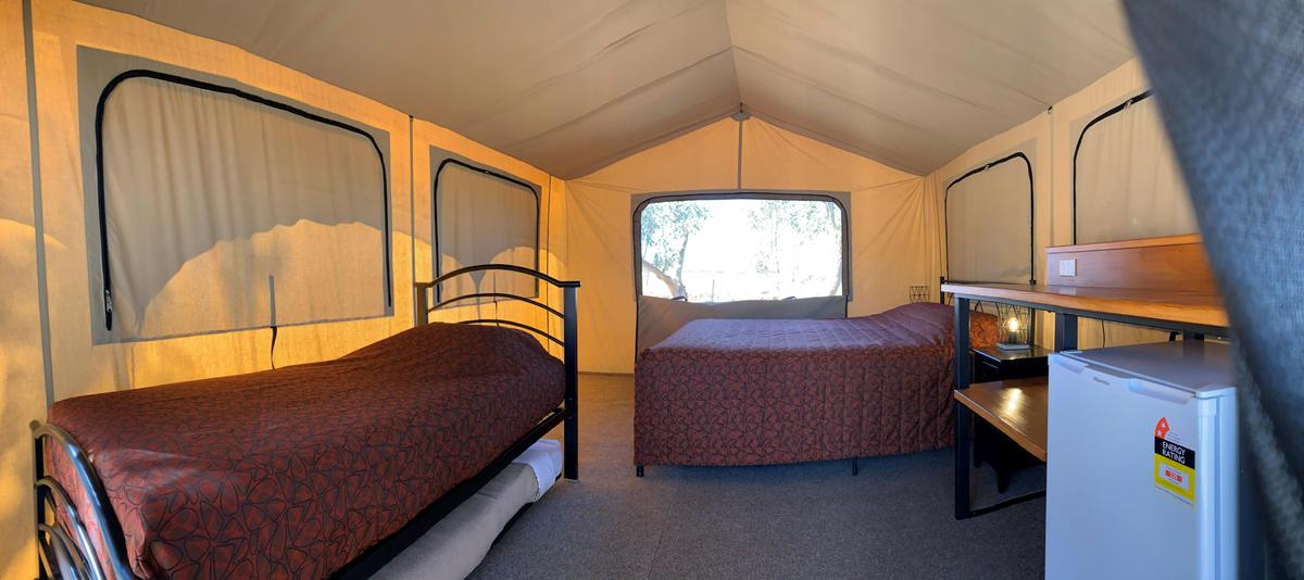 Safari Tents