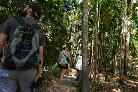 Holmes Jungle Nature Park