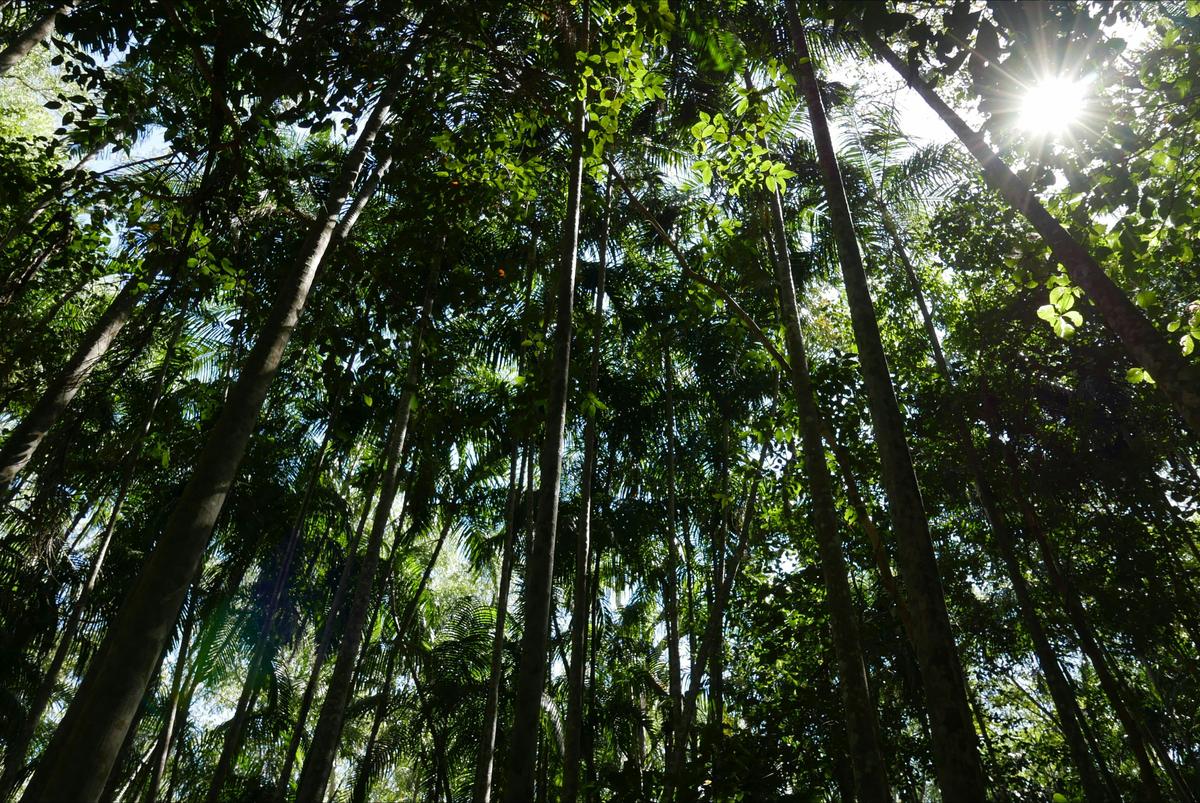 Holmes Jungle Nature Park