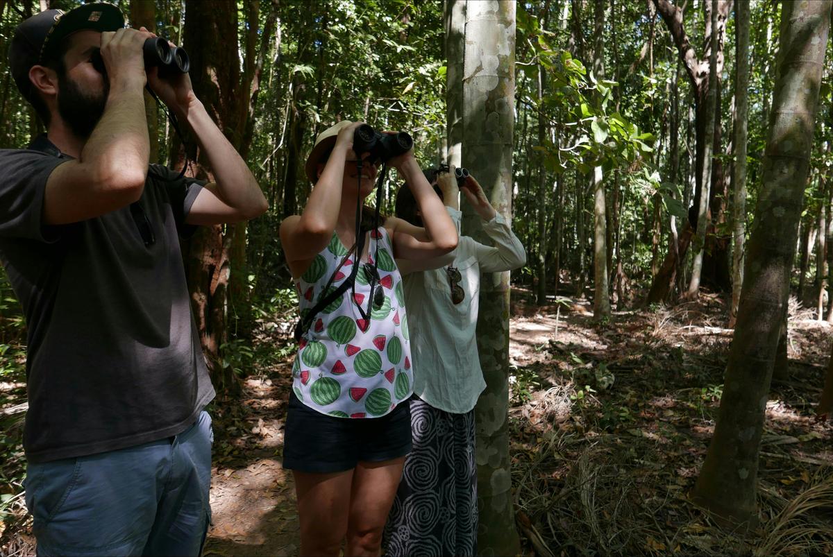 Holmes Jungle Nature Park, Birding
