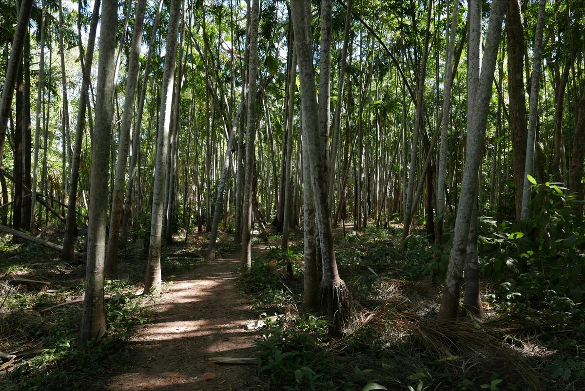 Holmes Jungle Nature Park