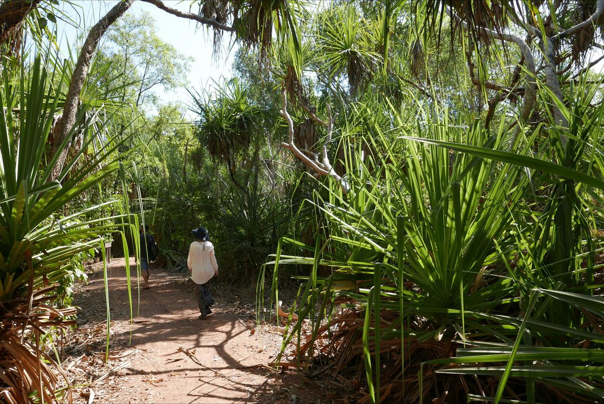 Holmes Jungle Nature Park