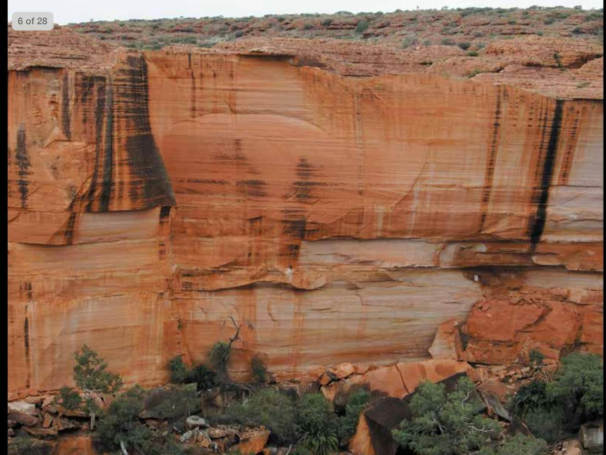 Alice Springs to Kings Canyon Day Tour