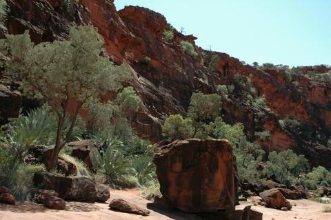 Larapinta Trail Transfers