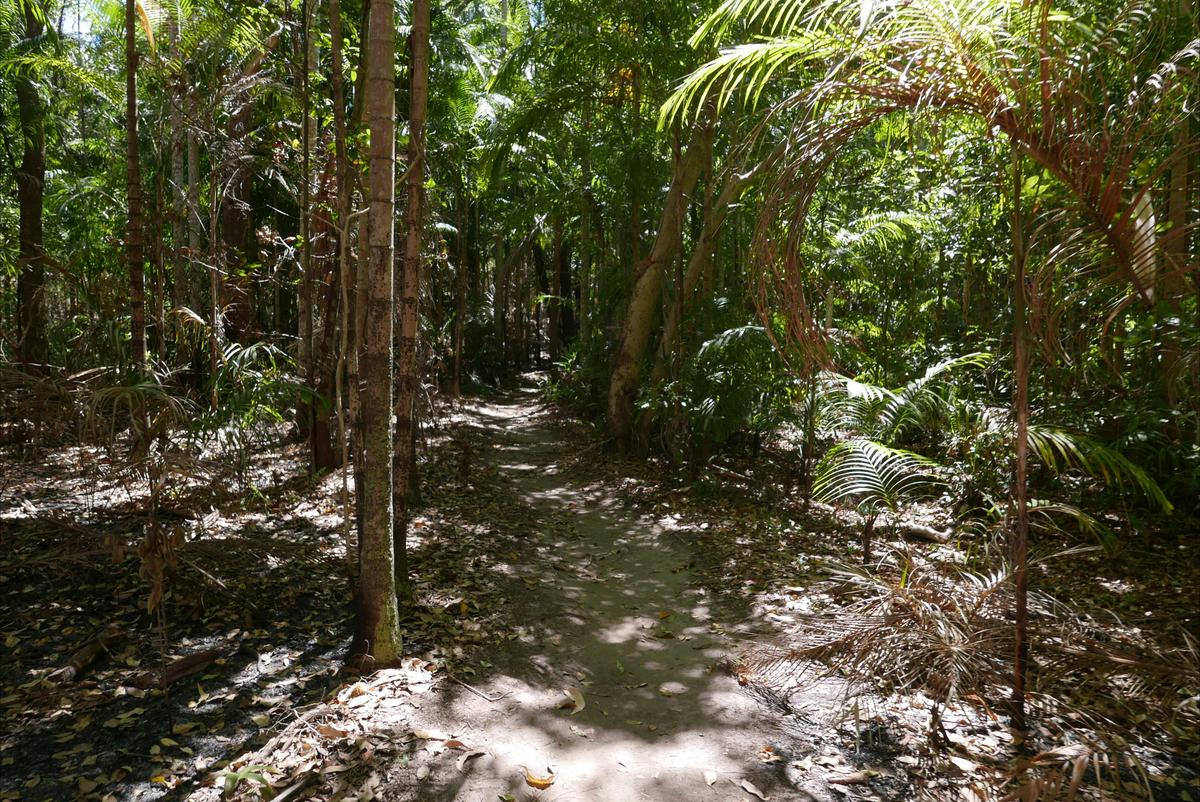 Greenant Creek / Tjaetabe Falls