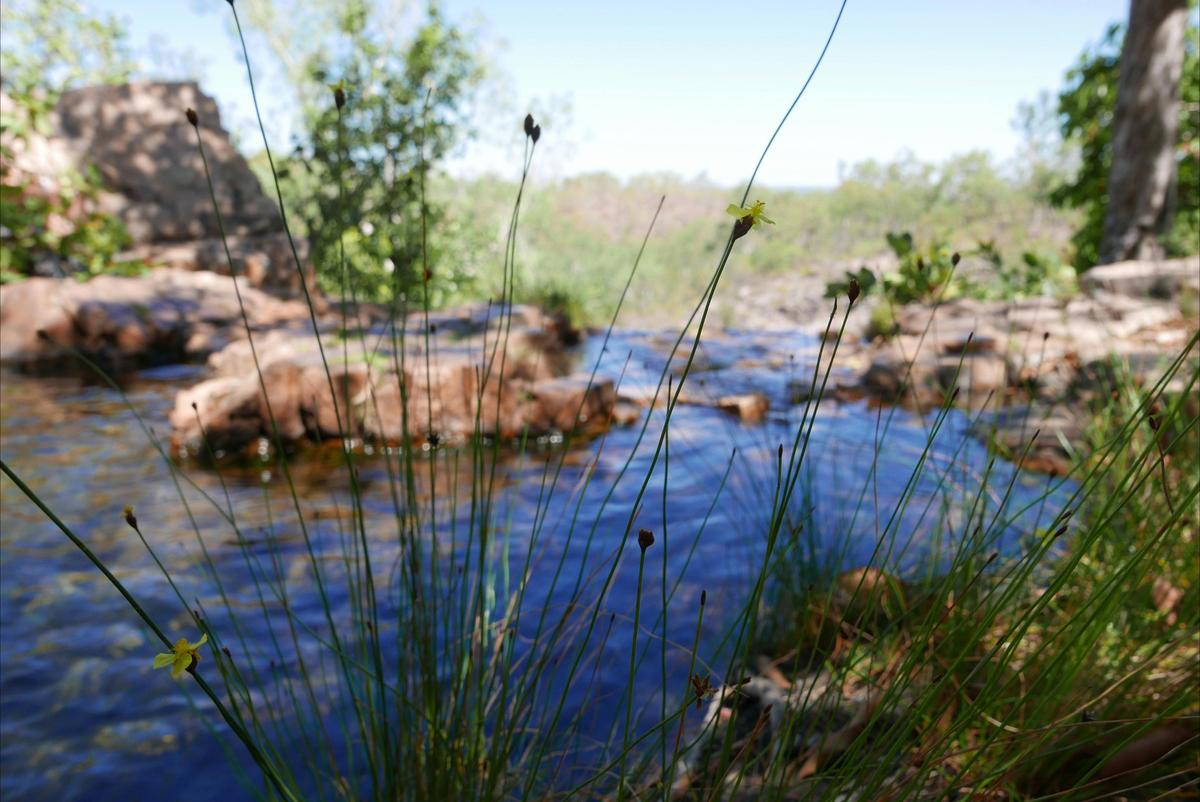 Greenant Creek / Tjaetabe Falls, Litchfield Park, Northern Territory.