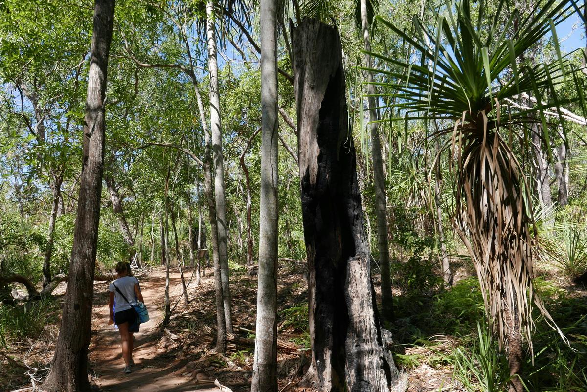 Greenant Creek / Tjaetabe Falls, Litchfield Park, Northern Territory.