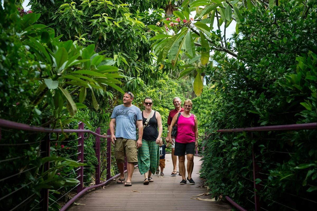 Elevated Walkway