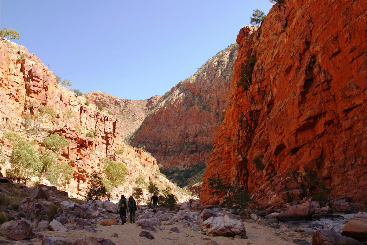 Best of the Larapinta Trail - 9 days