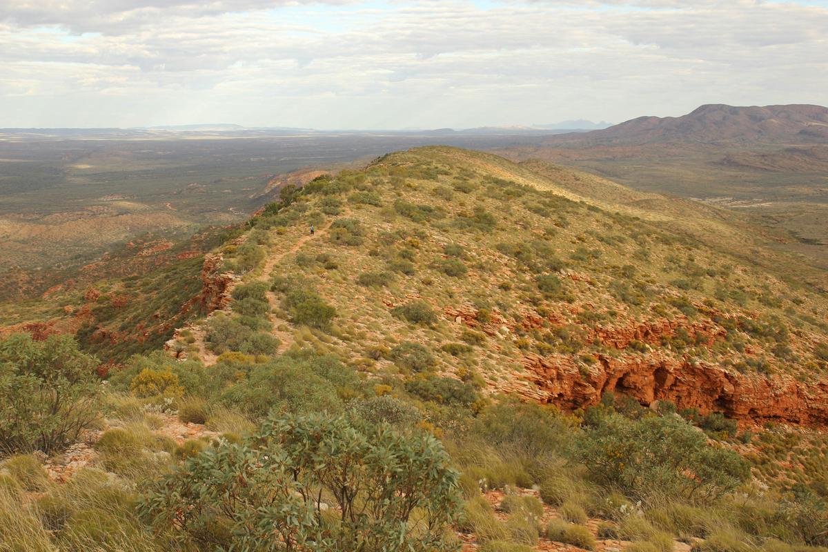 Classic Larapinta in Comfort - 6 Days