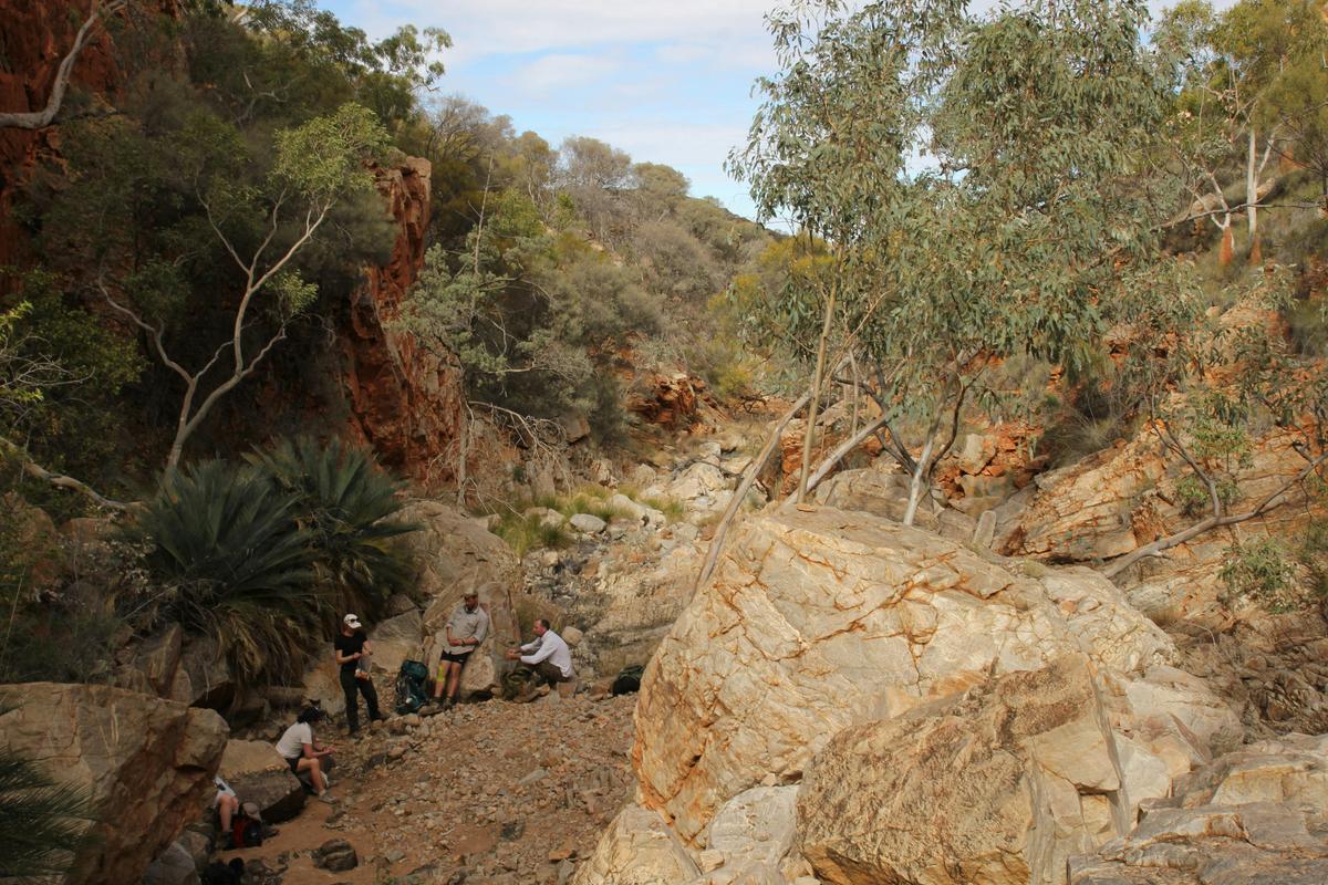 Larapinta Experience in Comfort - 4 Days