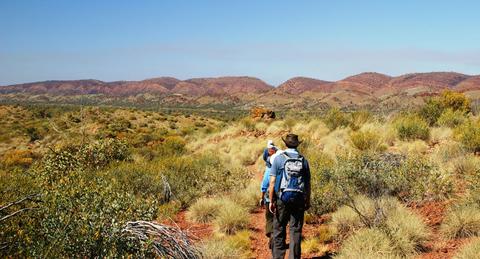 Larapinta Challenger Trek - 5 days