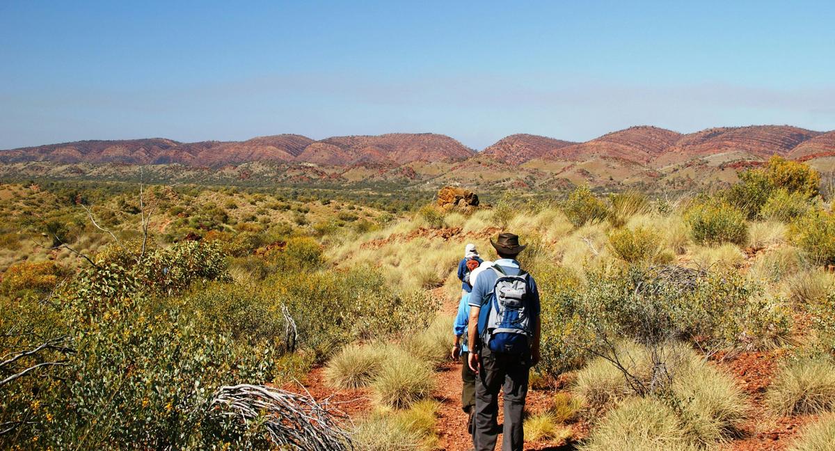 Larapinta Challenger Trek - 5 days