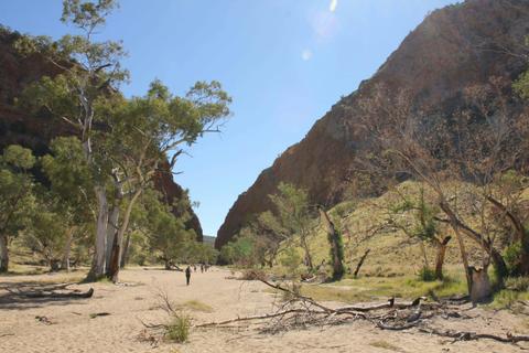 Larapinta End to End - 14 Days