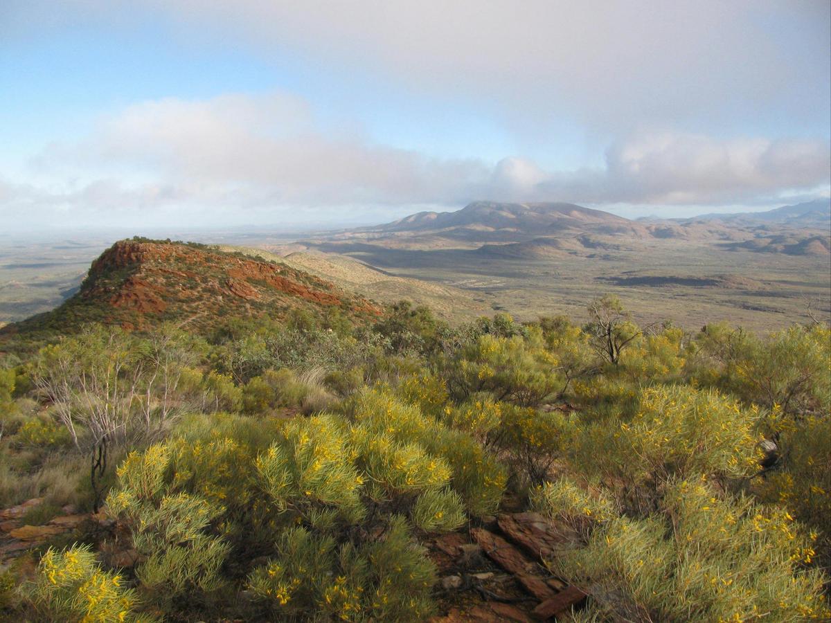 Larapinta Goddess Walk in Comfort - 4 days