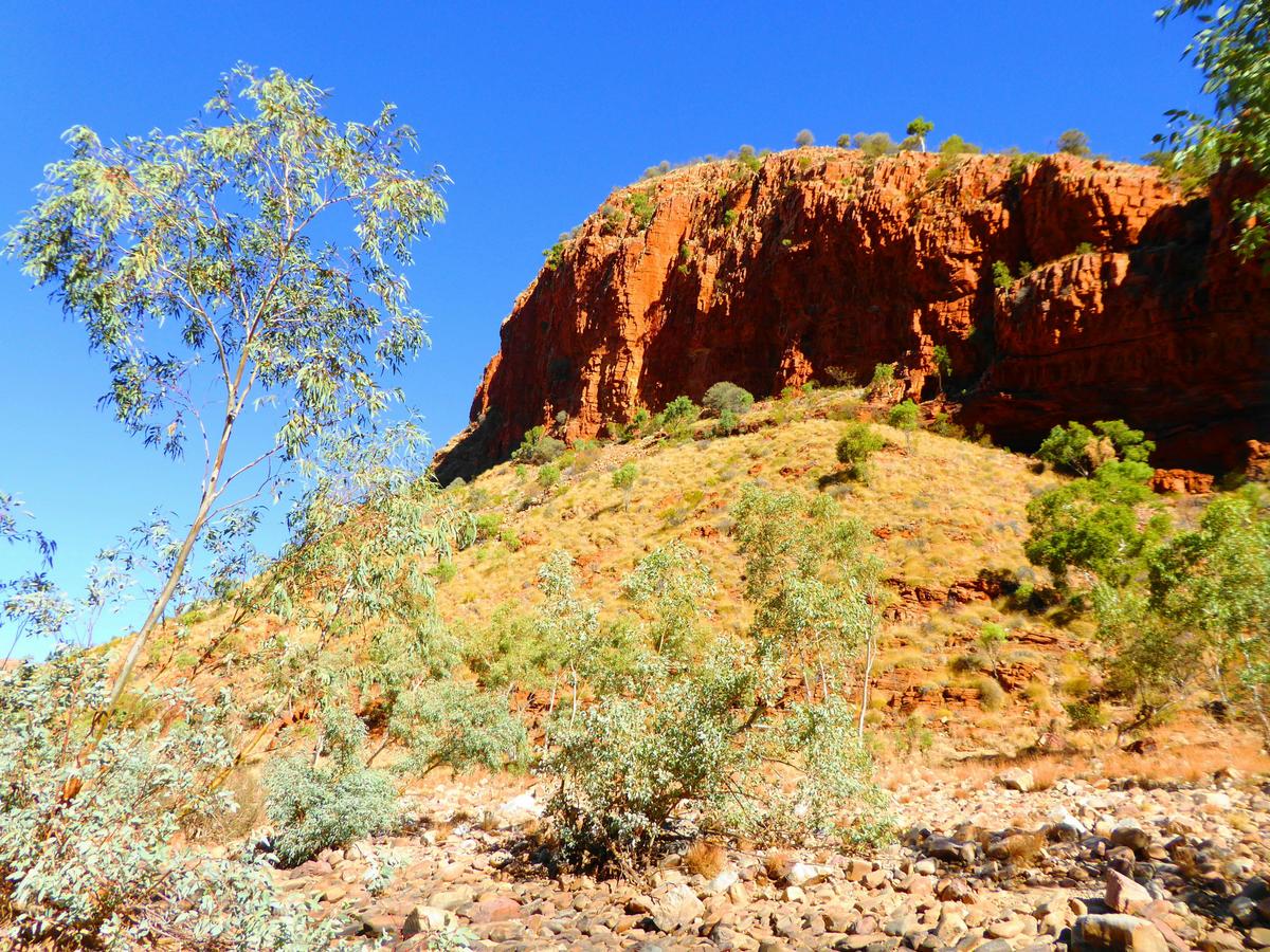 The Ultimate Larapinta Trail 6-Day Pack-Free Guided Walk