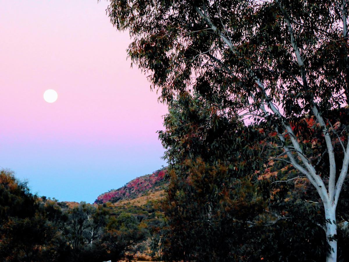 The Ultimate Larapinta Trail 6-Day Pack-Free Guided Walk
