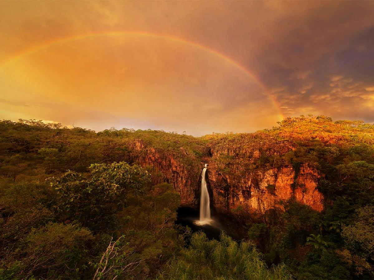 One day Litchfield Private Charter Tour