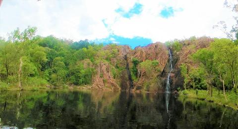 Full day Litchfield Park Tour and Jumping Crocodile Small Group