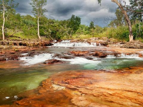 Full day Litchfield Park Tour and Jumping Crocodile Small Group
