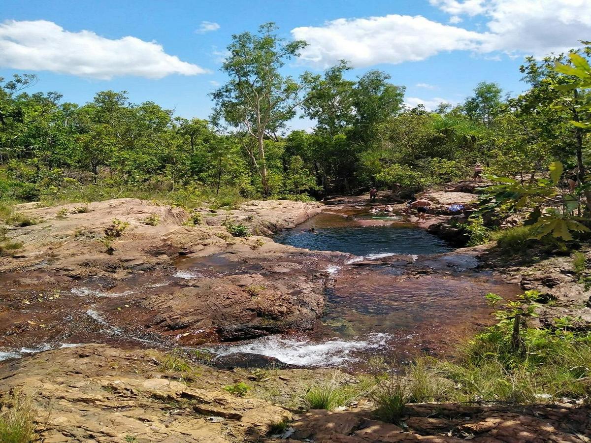 One day Litchfield Private Charter Tour