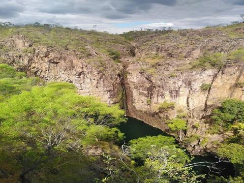 One day Litchfield Private Charter Tour
