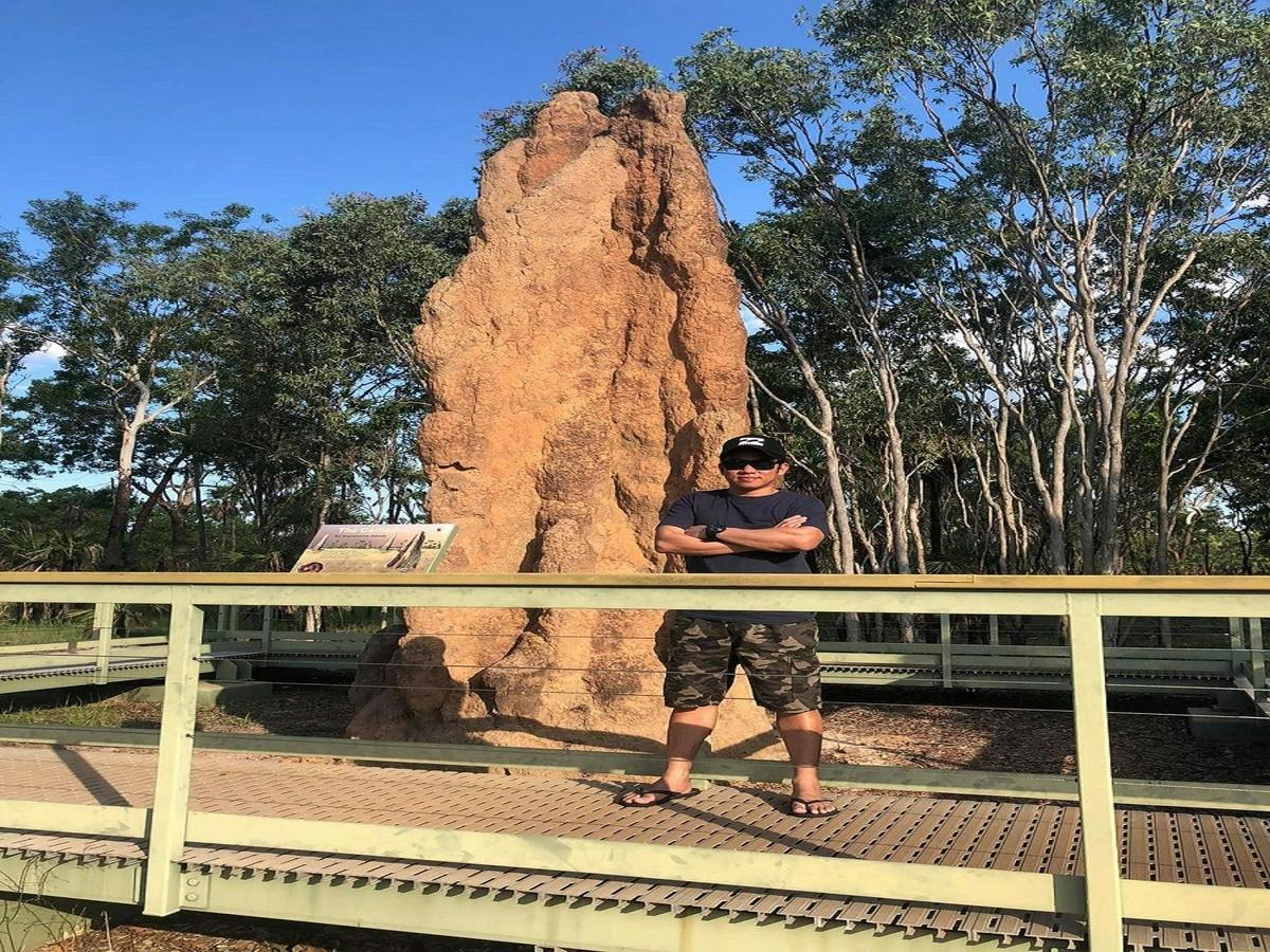 Full day Litchfield Park Tour and Jumping Crocodile Small Group