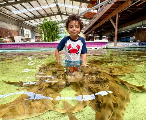 Port Stephens Animal Adventures