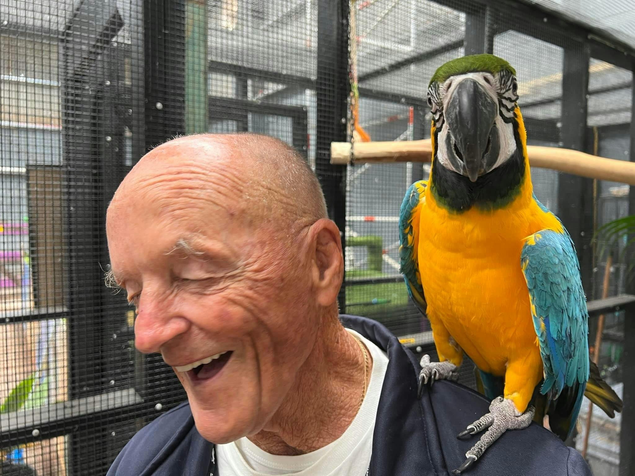 Magical Macaw Experience