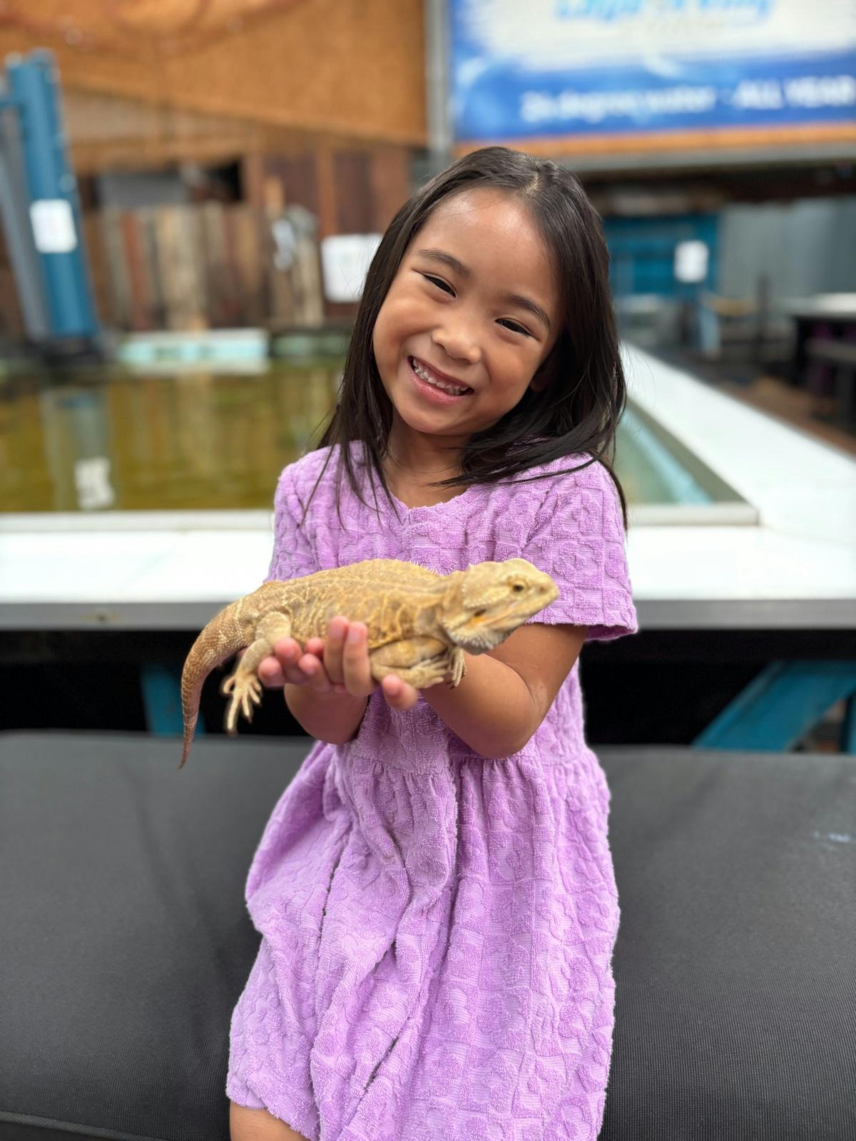 Get hands on with our reptiles