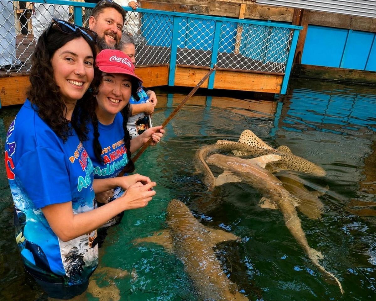 Spend time in the water with our beautiful sharks and rays
