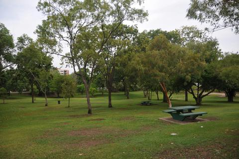 Frog Hollow