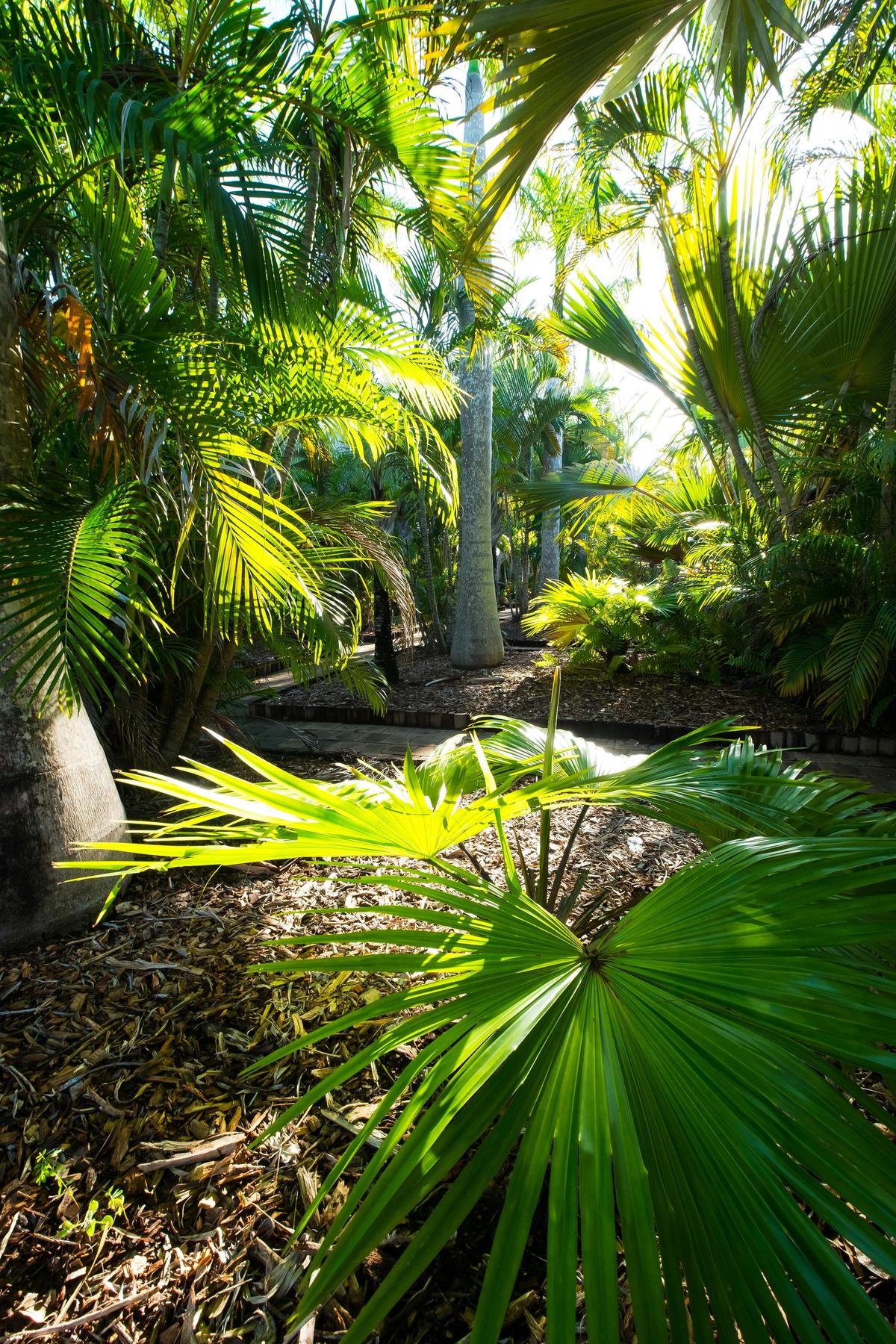Tropical landscape d gardens surround the rooms