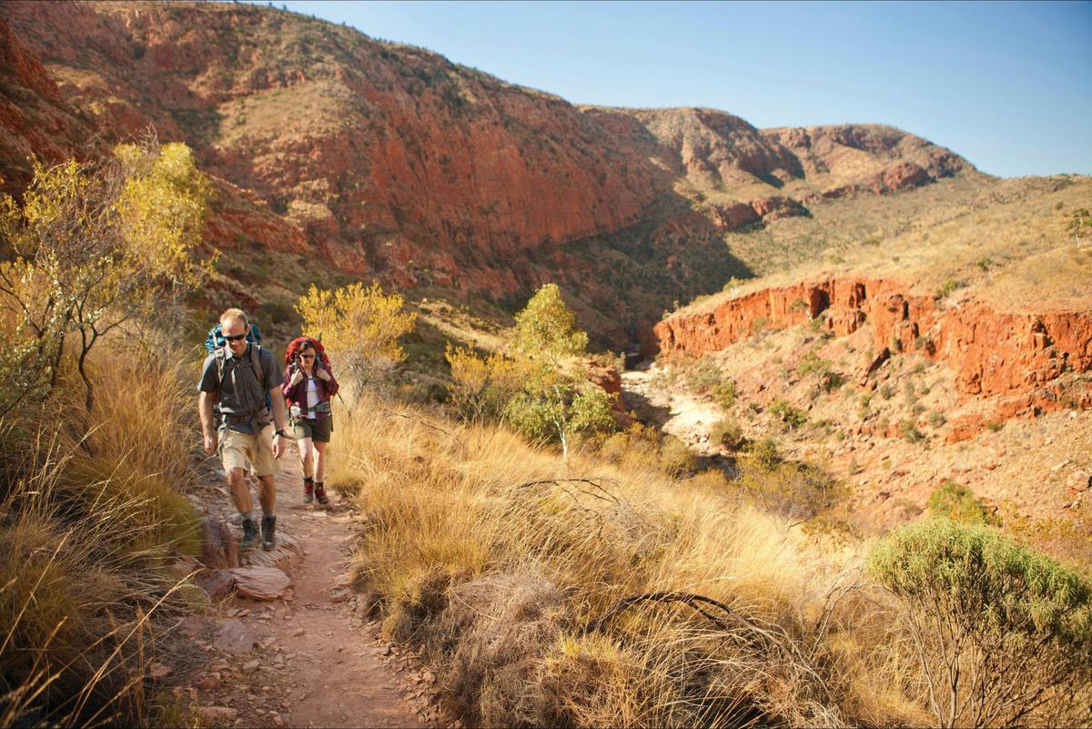 West Macs Larapinta Trail