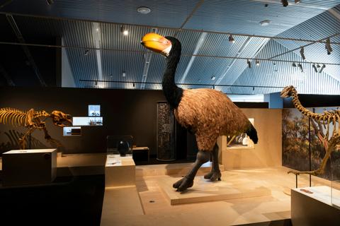 Megafauna Central