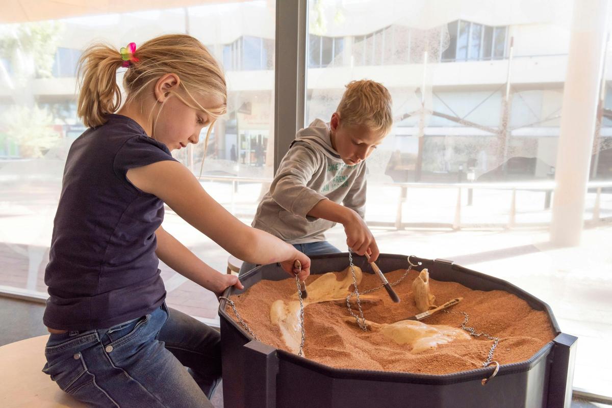 Junior Paleontologist dig pits