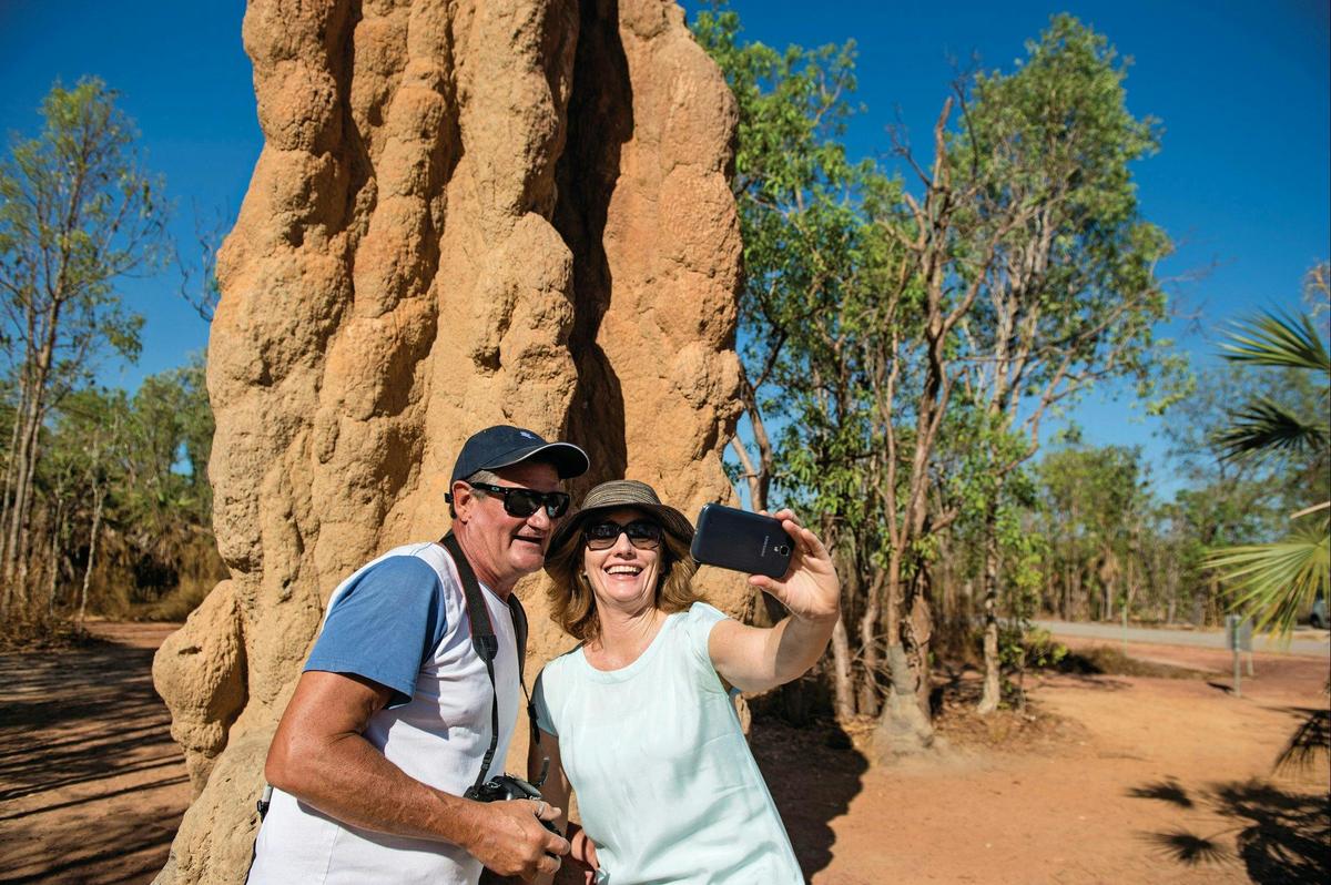 Magnificent Cathedral Termite Mounds