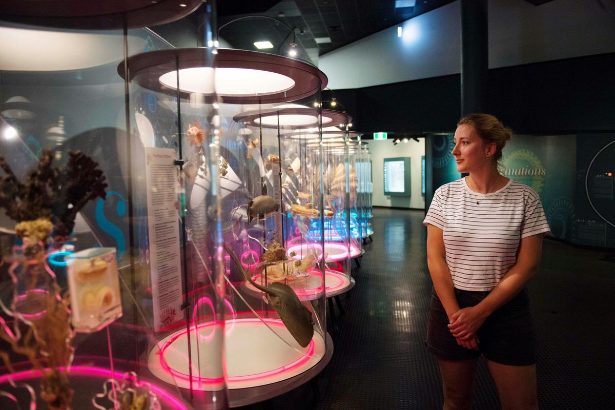 MAGNT Natural Sciences Gallery
