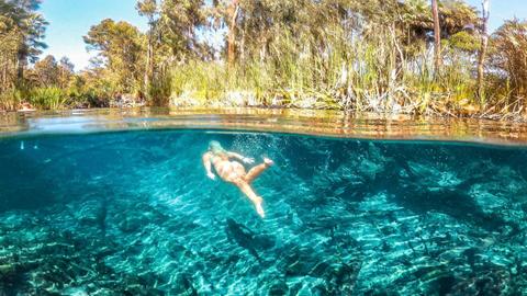 NT Top Adventures