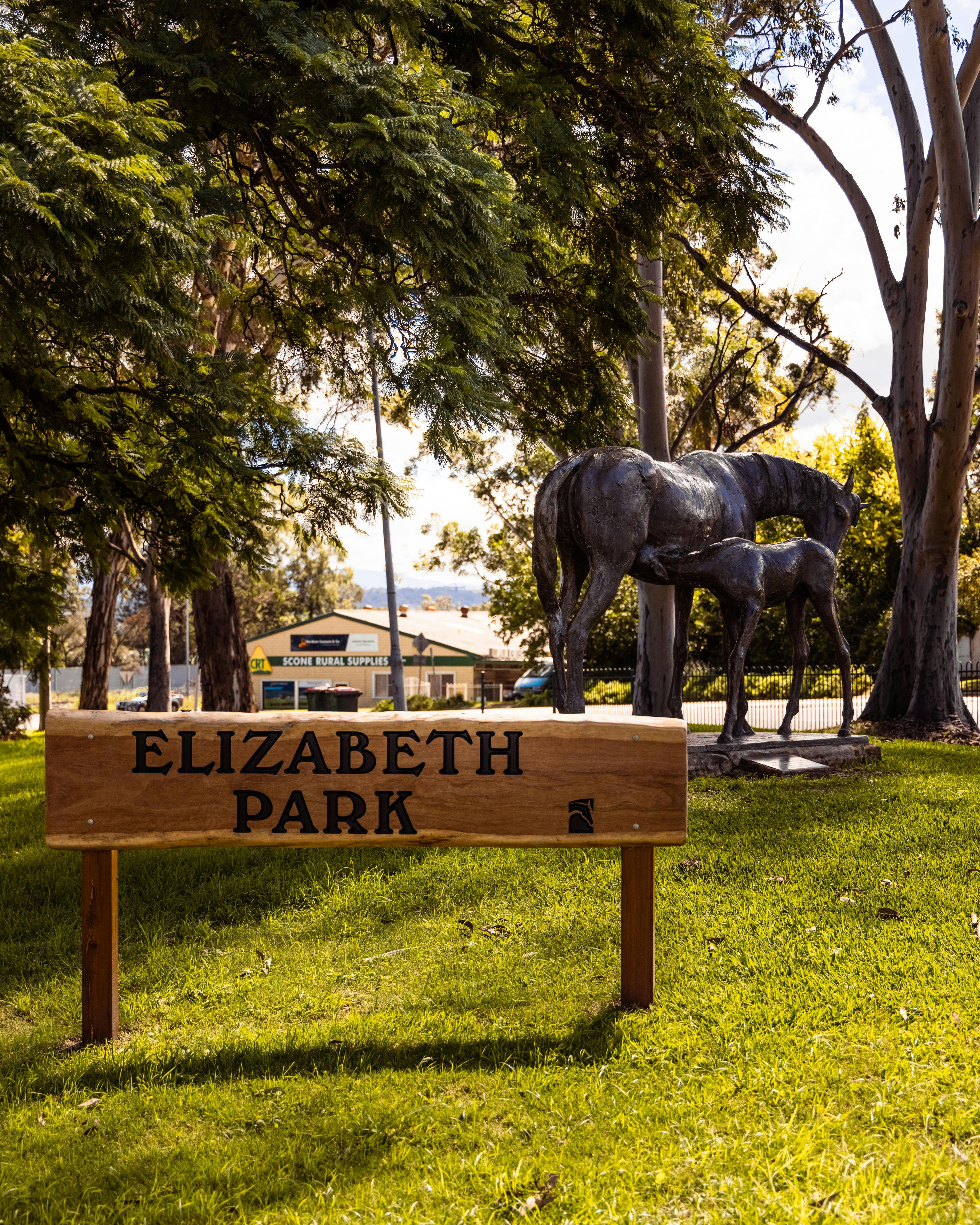 Scone Mare and Foal,  Elizabeth Park, Scone by Gabriel Sterk