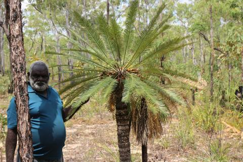 Yolŋu Corporate Cultural Immersion