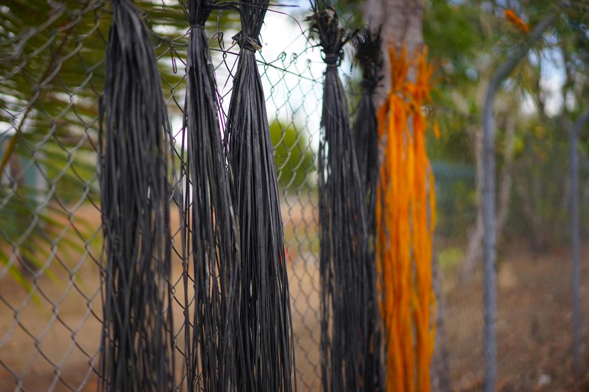 Dyed pandanus